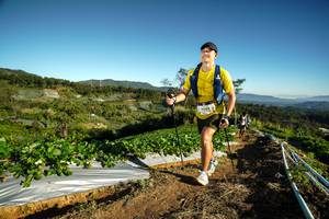 BIB: 9054
                            <button type="button" onclick="openModal(19117968)" class="btn btn-primary btn-sm float-right btn-popup" data-toggle="modal" data-target=".modal-high-quality">
                        <i class="fas fa-shopping-cart"></i> Add to Cart
                    </button>
                                            <button type="button" onclick="isThisMe(19117968, true)" class="btn btn-success btn-sm float-right btn-popup btn-isme hidden" data-toggle="tooltip" data-placement="bottom" title="นี่คือรูปของคุณใช่ไหม คลิกที่นี่เพื่อเอาเข้าอัลบั้ม">
                        <i class="fas fa-plus"></i> Add to album
                    </button>
                    <button type="button" onclick="isThisMe(19117968, false)" class="btn btn-warning btn-sm float-right btn-popup btn-isnotme hidden">
                        <i class="fas fa-ban"></i> Remove from album
                    </button>